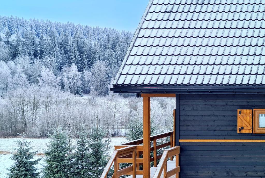 Osada Sierpnica - Uroczy Dom Z Kominkiem I Balia W Gorach Sowich Exterior foto